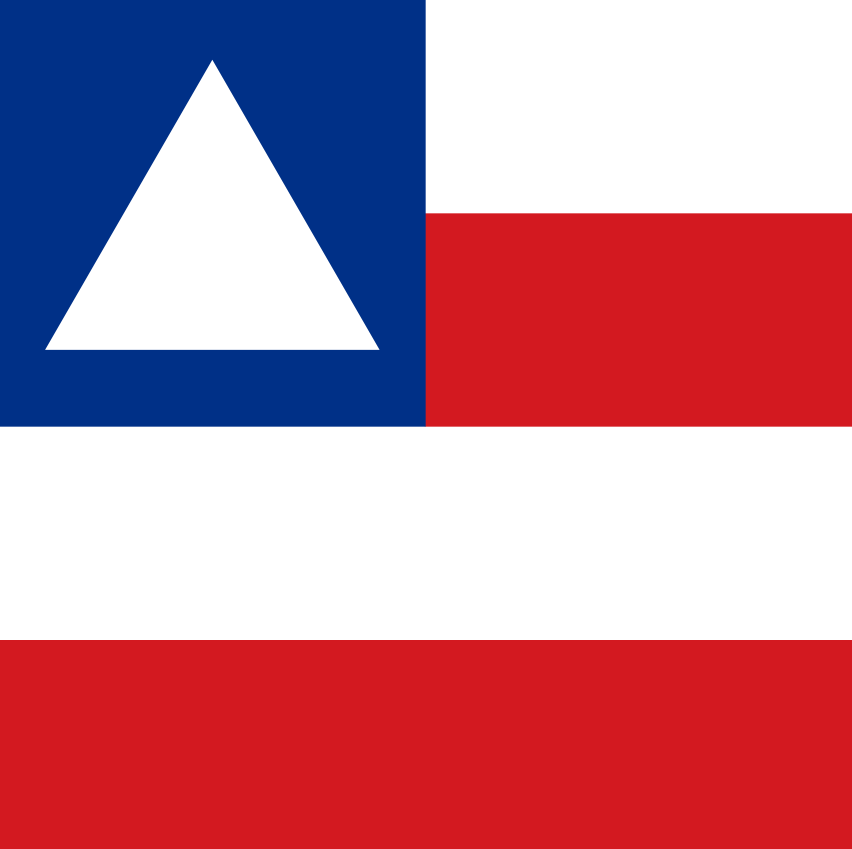Bahia Governor Election Winner - image