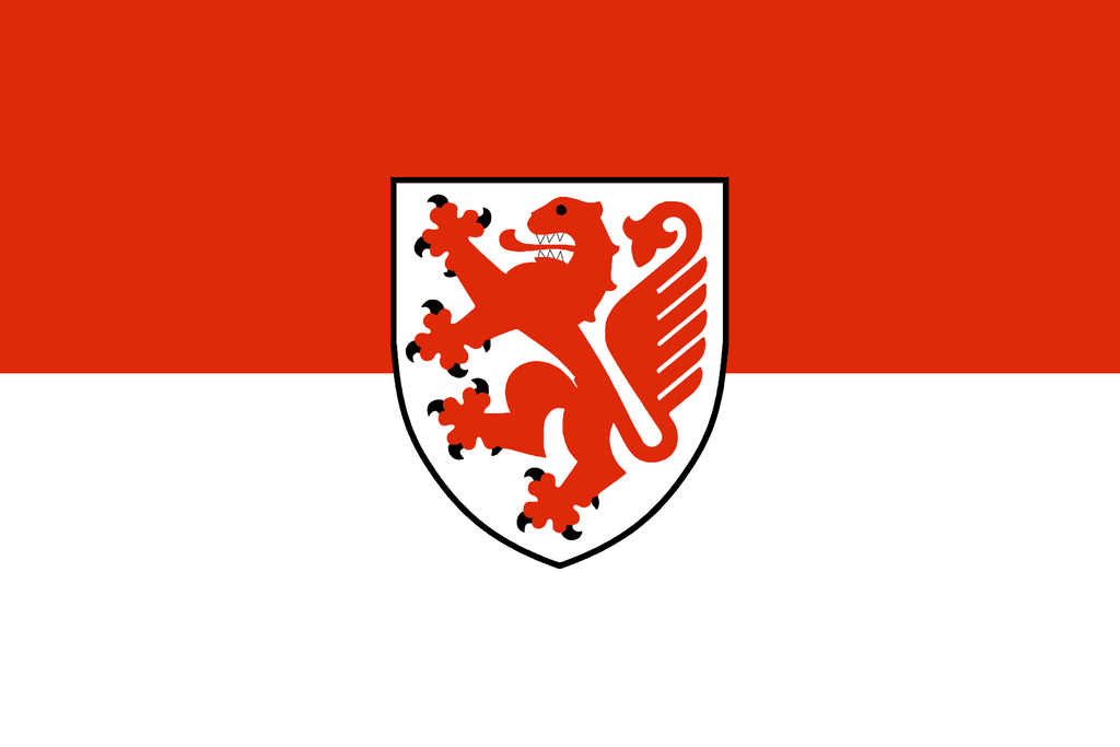 Braunschweig Mayoral Election Winner - image
