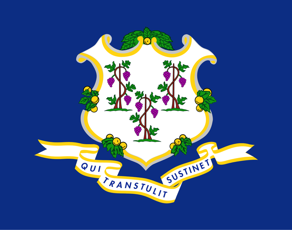 icon for Connecticut Governor Republican Primary Winner