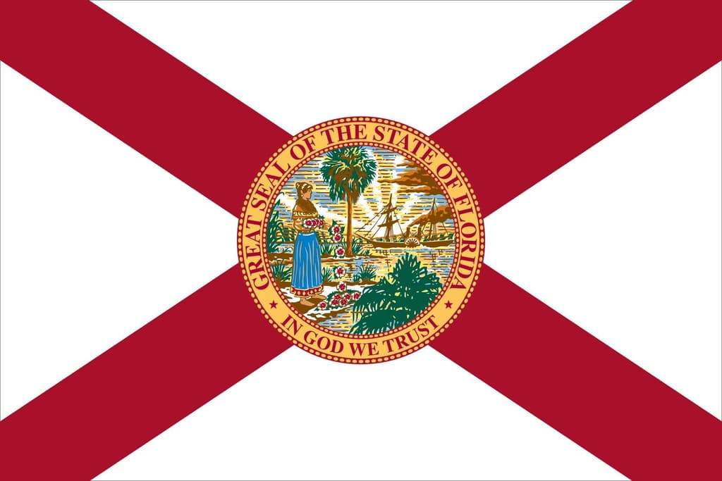 Florida Democratic Senate Primary Winner card icon