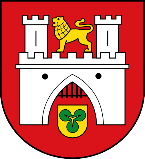 Hannover Mayoral Election Winner - image