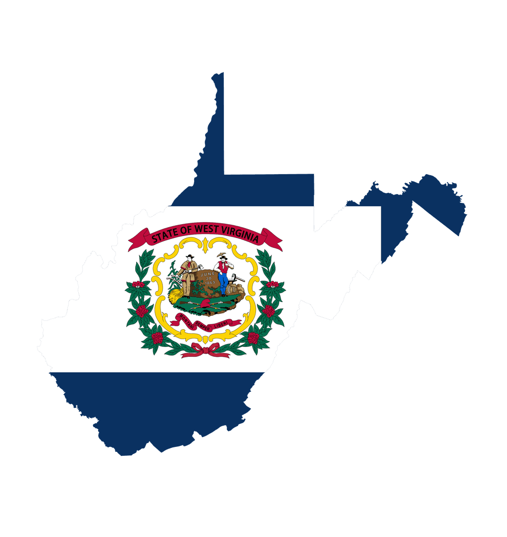 icon for West Virginia Senate Election Winner