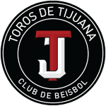 tor icon