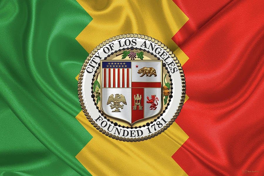 Los Angeles Mayoral Election card icon