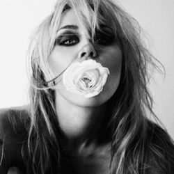 icon for Miley Cyrus 'Bass Persuades' First Week Album Sales?