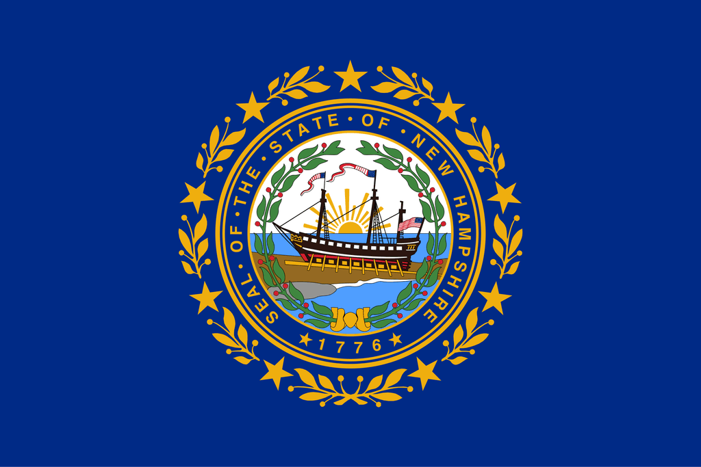 icon for NH-01 Republican Primary Winner