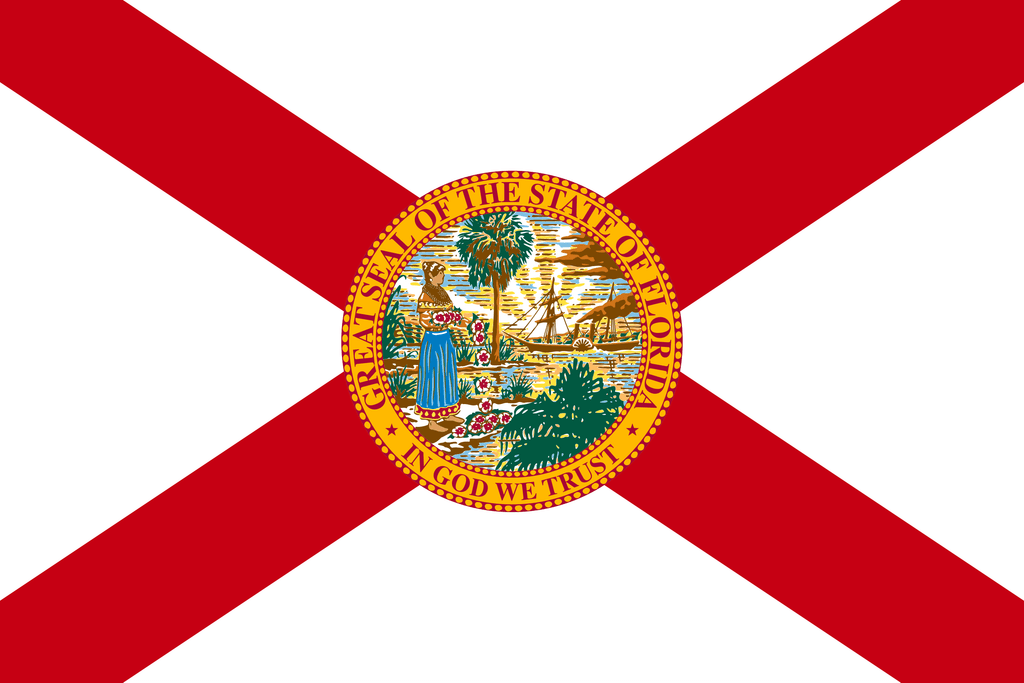 Florida Governor Republican Primary Winner card icon