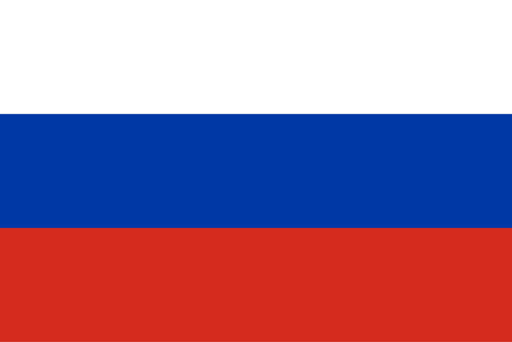 Russia Parliamentary Election Winner - image