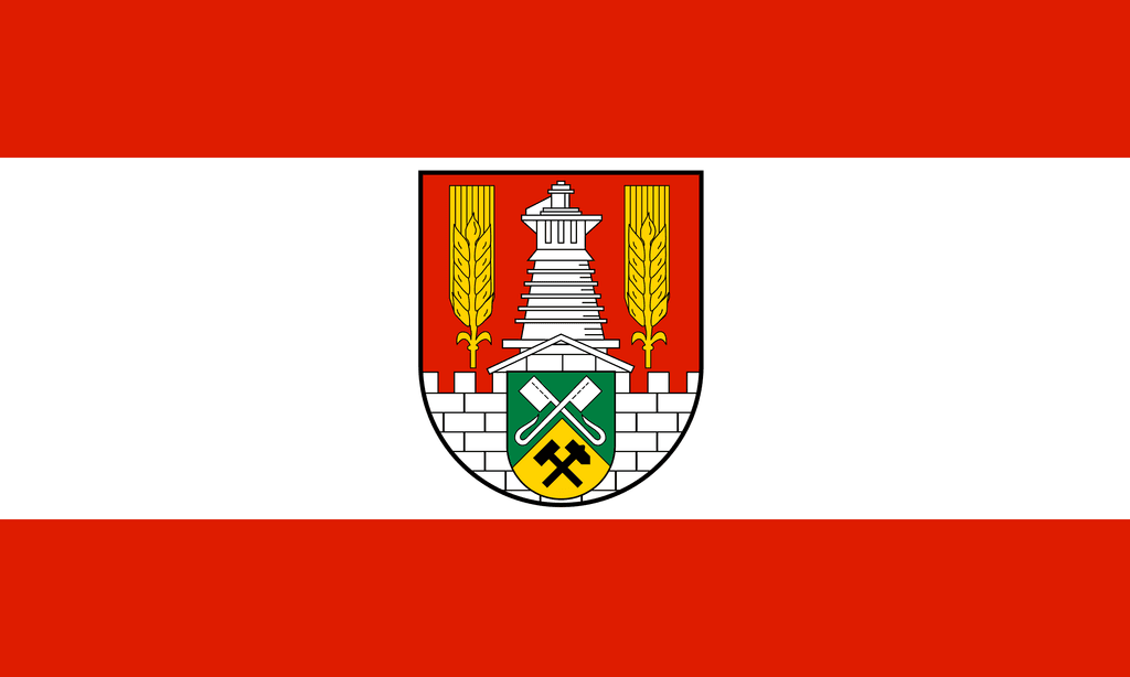 Salzgitter Mayoral Election Winner - image