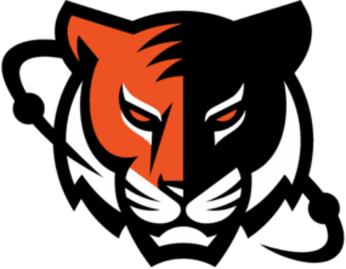 ntr icon
