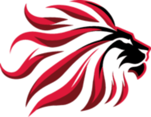 TEAM ASCEND