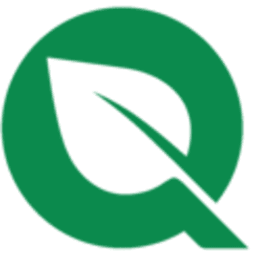 fly icon
