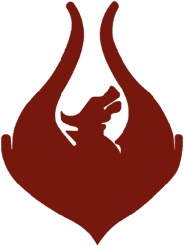 Team Phoenix