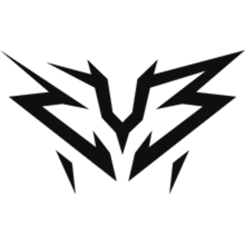 ZYB Esport