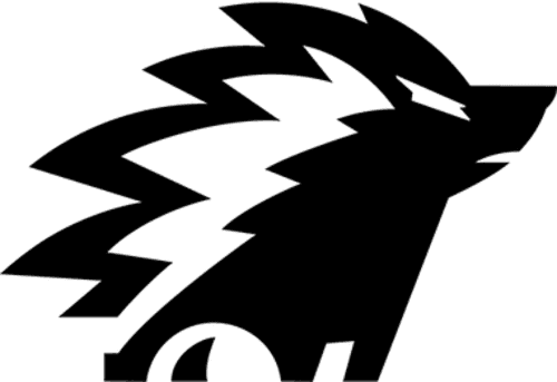 onic icon