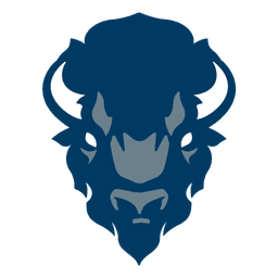 Bison