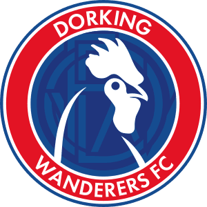 Dorking Wanderers FC