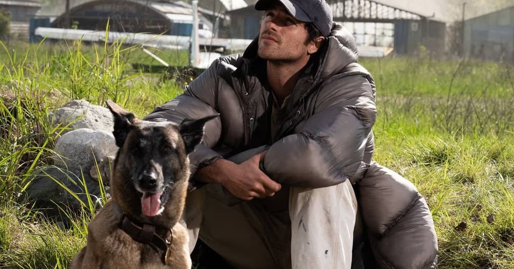 icon for Will "The Dog Stars" score at least 50 on the Rotten Tomatoes Tomatometer?