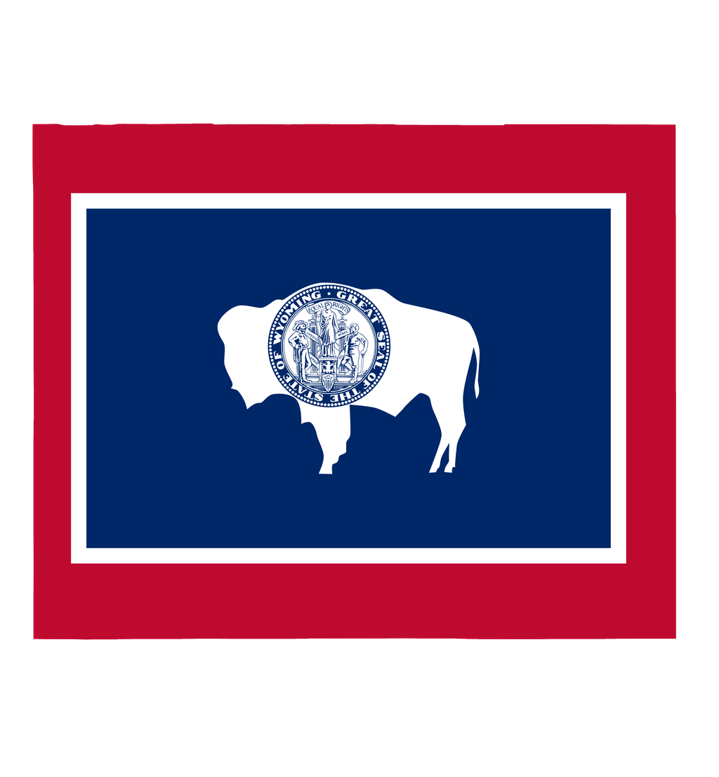 icon for Wyoming Governor Election Winner