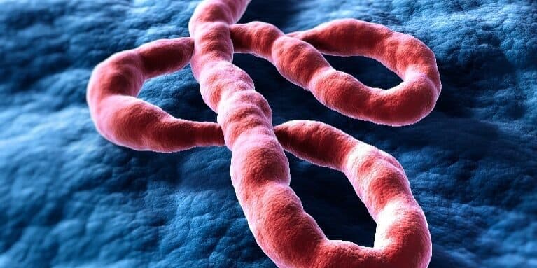 Which countries will have an Ebola case in 2026? card icon