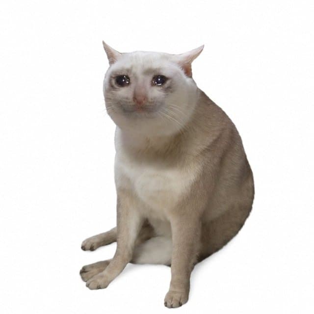icon for Will CASHCAT reach $2.00 by December 31, 2026?