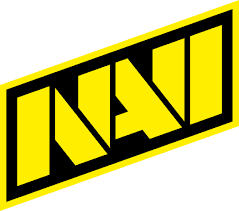 icon for Natus Vincere