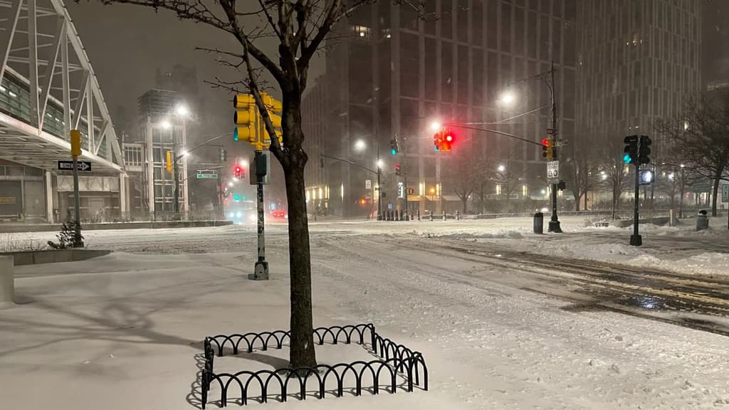 icon for Will NYC have more than 6 inches of precipitation in August?