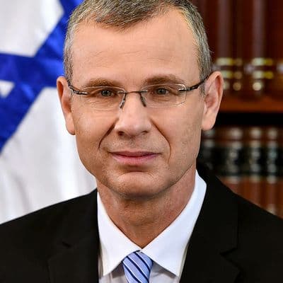 icon for Yariv Levin